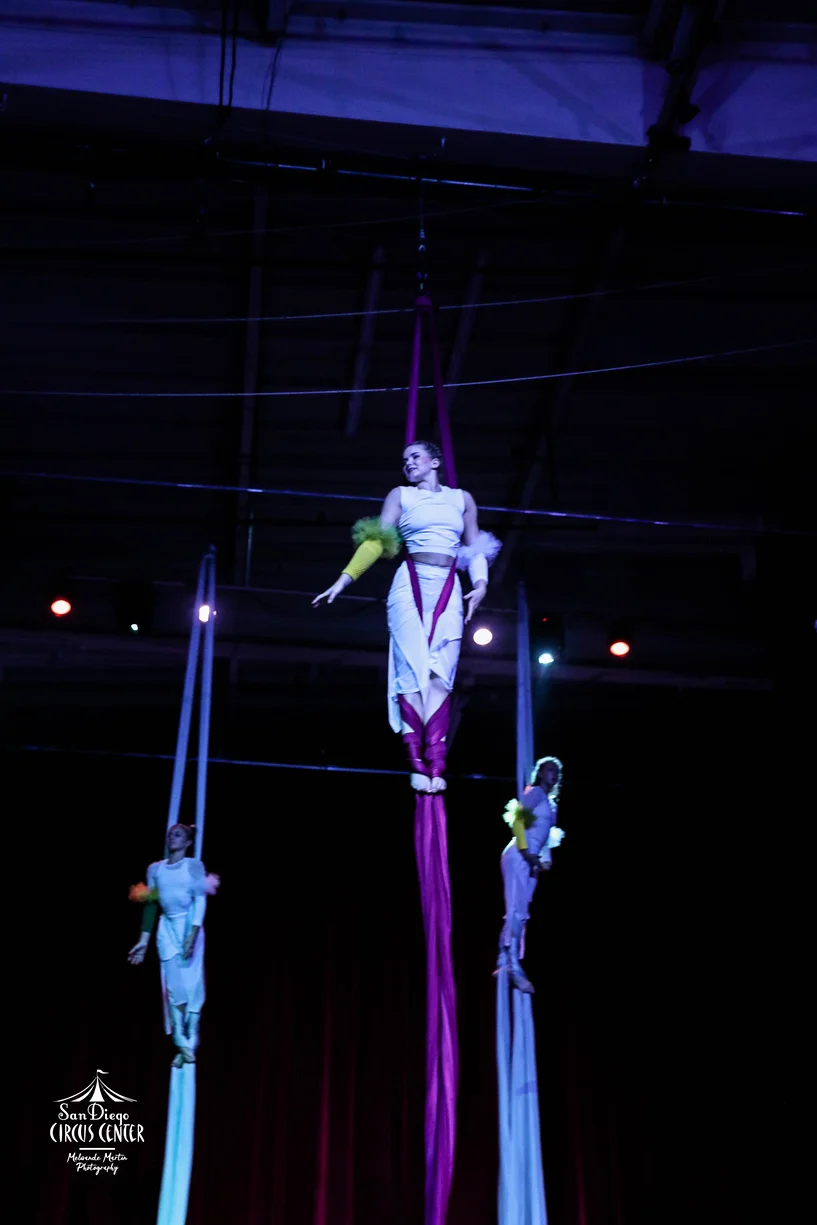 Paige Horil - Layers